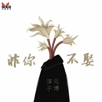 非你不娶封面