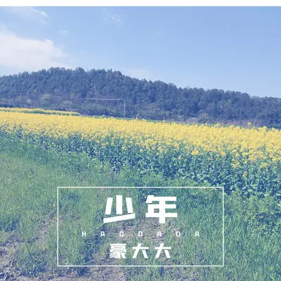 新鸳鸯蝴蝶梦(DJ豪大大版)(DJ豪大大版)封面