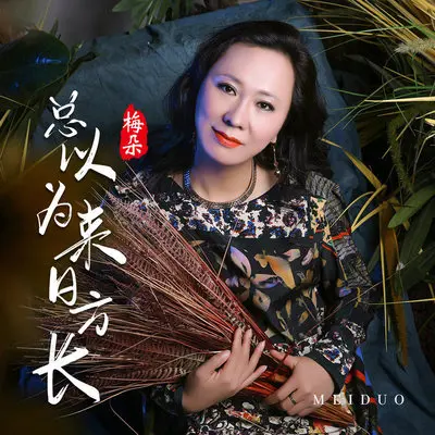 总以为来日方长 (DJ默涵版) - 梅朵封面