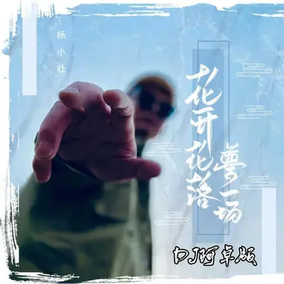 花开花落梦一场(DJ阿卓版)封面
