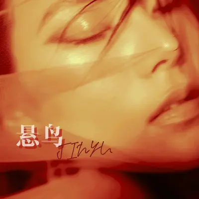 悬鸟 - 金渔封面