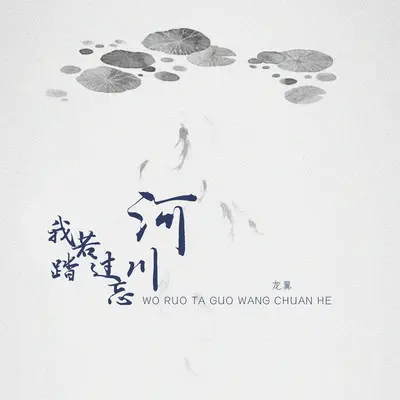 我若踏过忘川河（DJ沈念版伴奏）封面