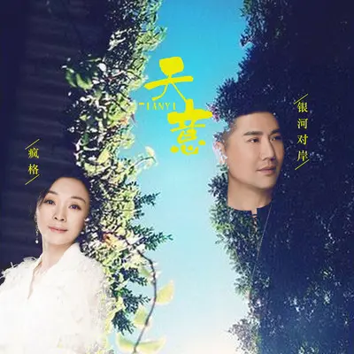 天意(Dj何鹏版) - 疯格 / 银河对岸封面