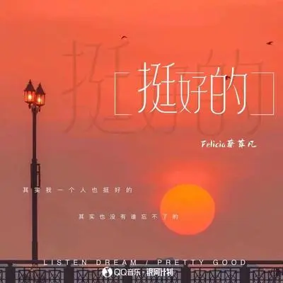 挺好的 - Felicia蔡菲凡封面