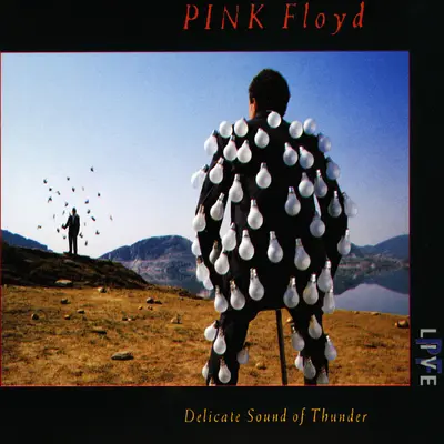 The Dogs Of War (Live) - Pink Floyd封面