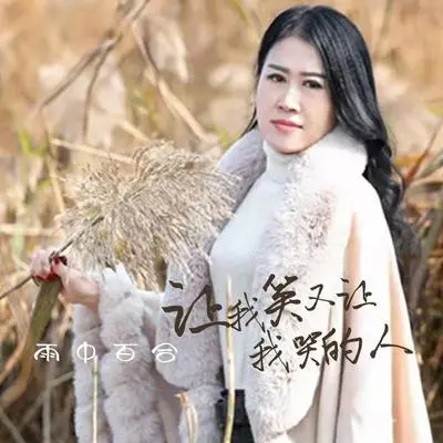 让我笑又让我哭的人封面
