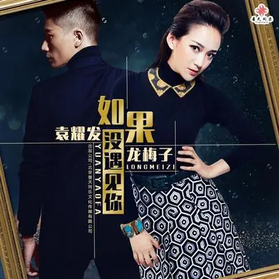 如果没遇见你封面