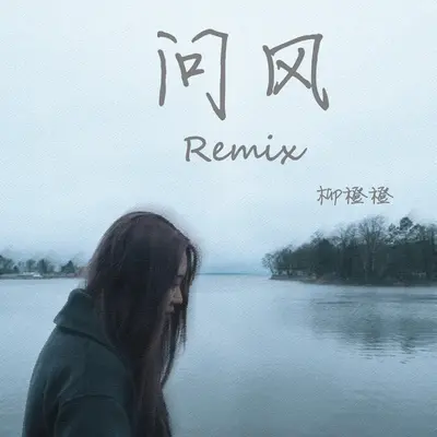 问风Remix封面