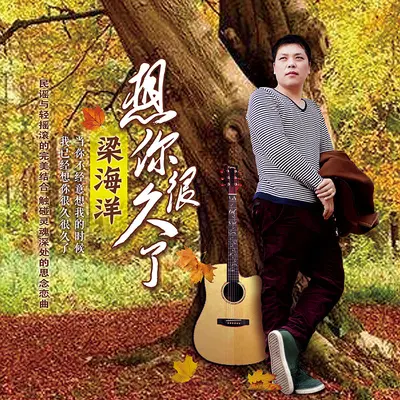 想你很久了封面