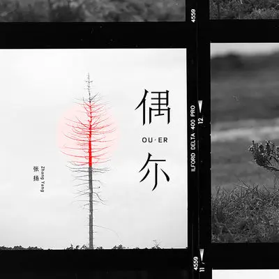 偶尔 - 张扬封面