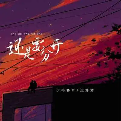 还是要分开(完整版) - 伊格赛听 / 庄辉辉封面