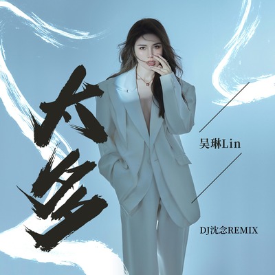 太多(DJ沈念Remix伴奏)封面