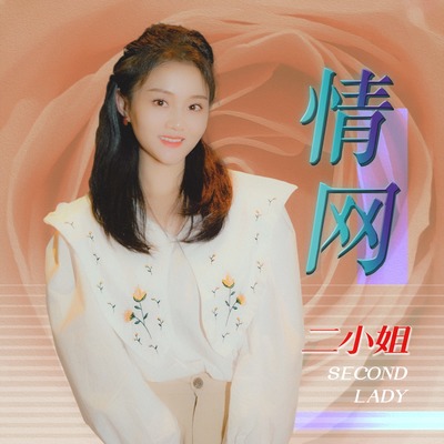 情网(伴奏)封面