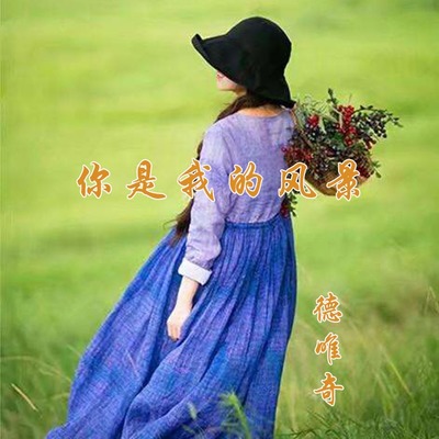 你是我的风景(动感版)(动感版)封面