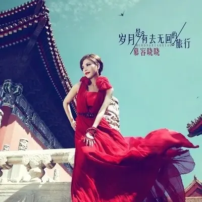 岁月是有去无回的旅行封面