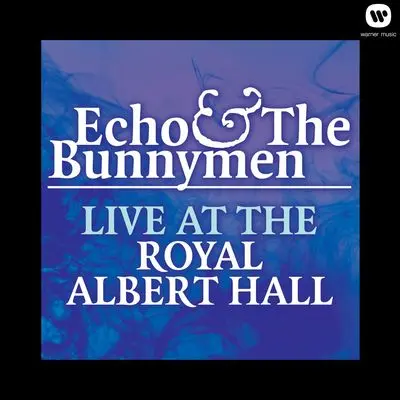porcupine [Live At Royal Albert Hall 1984]封面