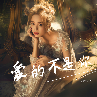 爱的不是你(伴奏)封面