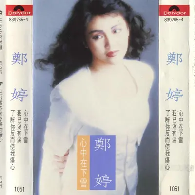 了解你反而使我伤心 - 郑婷封面