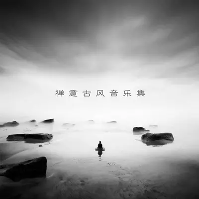 红昭愿景封面