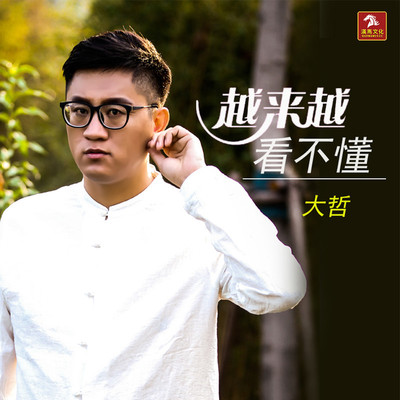 越来越看不懂 (伴奏) - 大哲封面