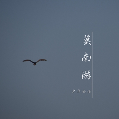 再见南方姑娘封面