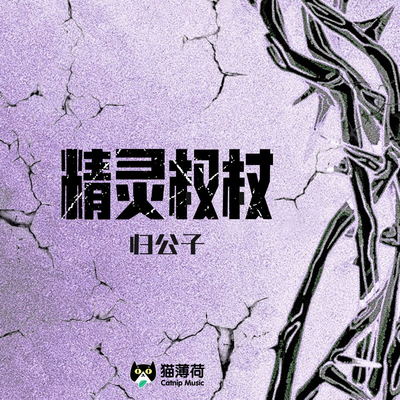 精灵权杖(伴奏)封面