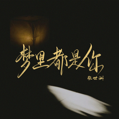 梦里都是你封面