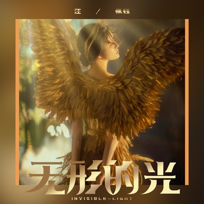 无形的光封面