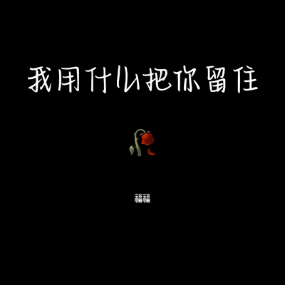 我用什么把你留住封面