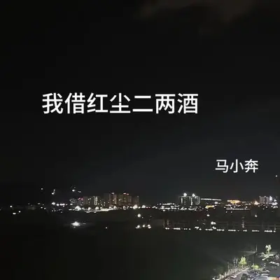 我借红尘二两酒(烟嗓版伴奏) - 马小奔封面