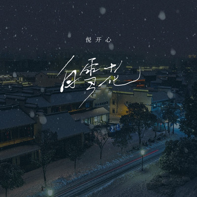 白雪花DJ名龙版封面