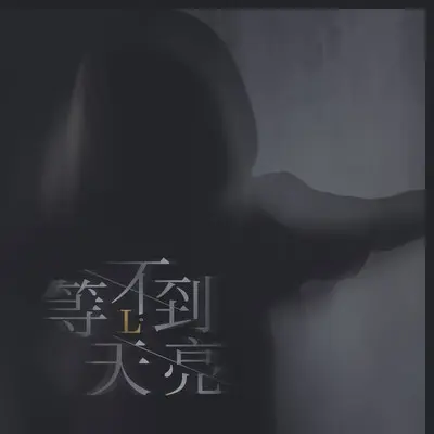 等不到天亮封面
