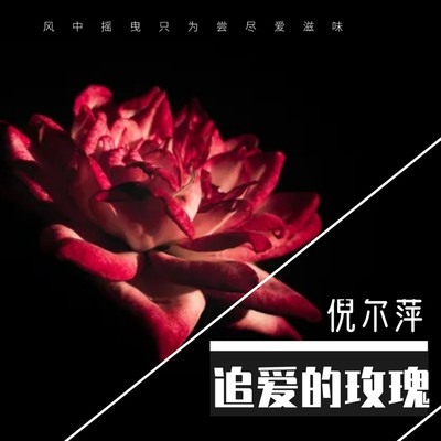 追爱的玫瑰 (伴奏)封面