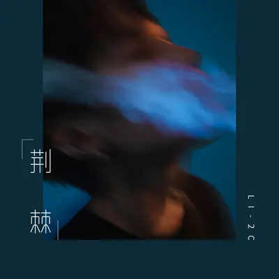 荆棘（完整版）封面