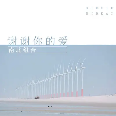 谢谢你的爱(伴奏)封面