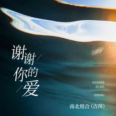谢谢你的爱(伴奏)封面