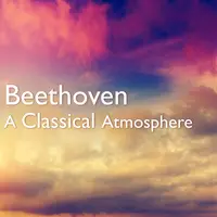 Beethoven: Triple Concerto in C Major, Op. 56 - 3. Rondo alla Polacca(Live at Philharmonie, Berlin / 2019)