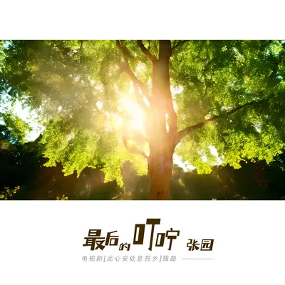 最后的叮咛(电视剧《此心安处是吾乡》)插曲(伴奏)封面