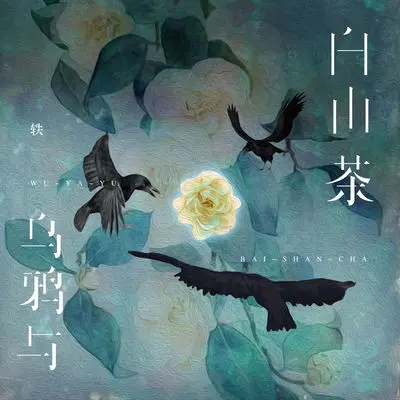 乌鸦与白山茶(伴奏)封面