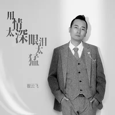 用情太深眼泪太猛 - 崔云飞封面
