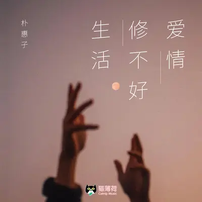 爱情修不好生活封面