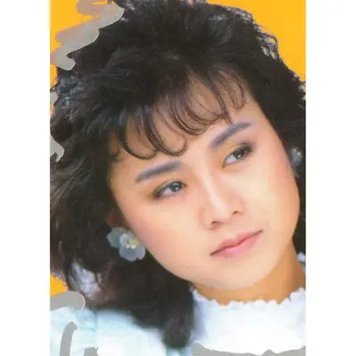 珍惜(倾心版)封面