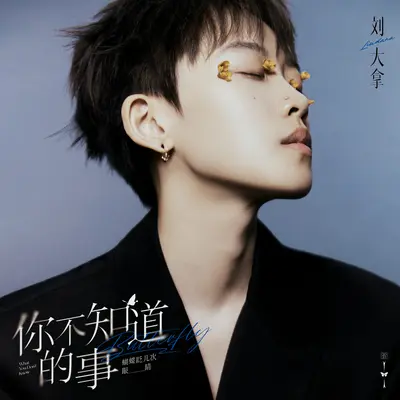 你不知道的事（女声版） - 刘大拿封面