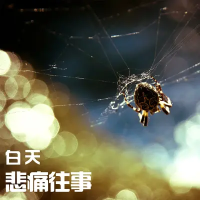你看那花儿也谢了 白天封面