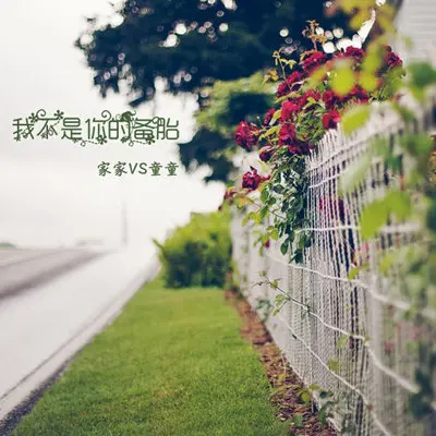 我不是你的备胎（完整版）封面