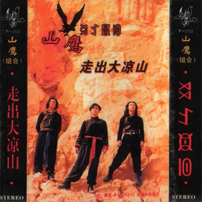 飞呀飞封面
