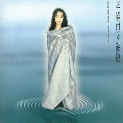 俩俩相忘(电视剧《倚天屠龙记(马景涛版)》片尾曲)封面