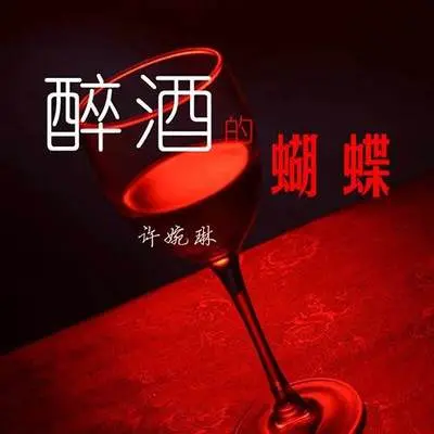 静静的思念 - 许婉琳封面