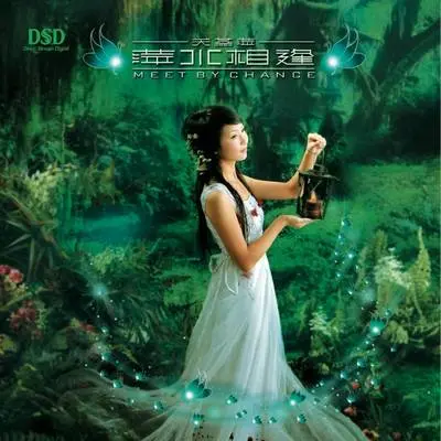 像雾像雨又像风 - 关燕萍封面