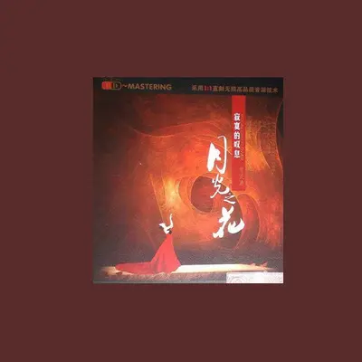 你的眼神封面